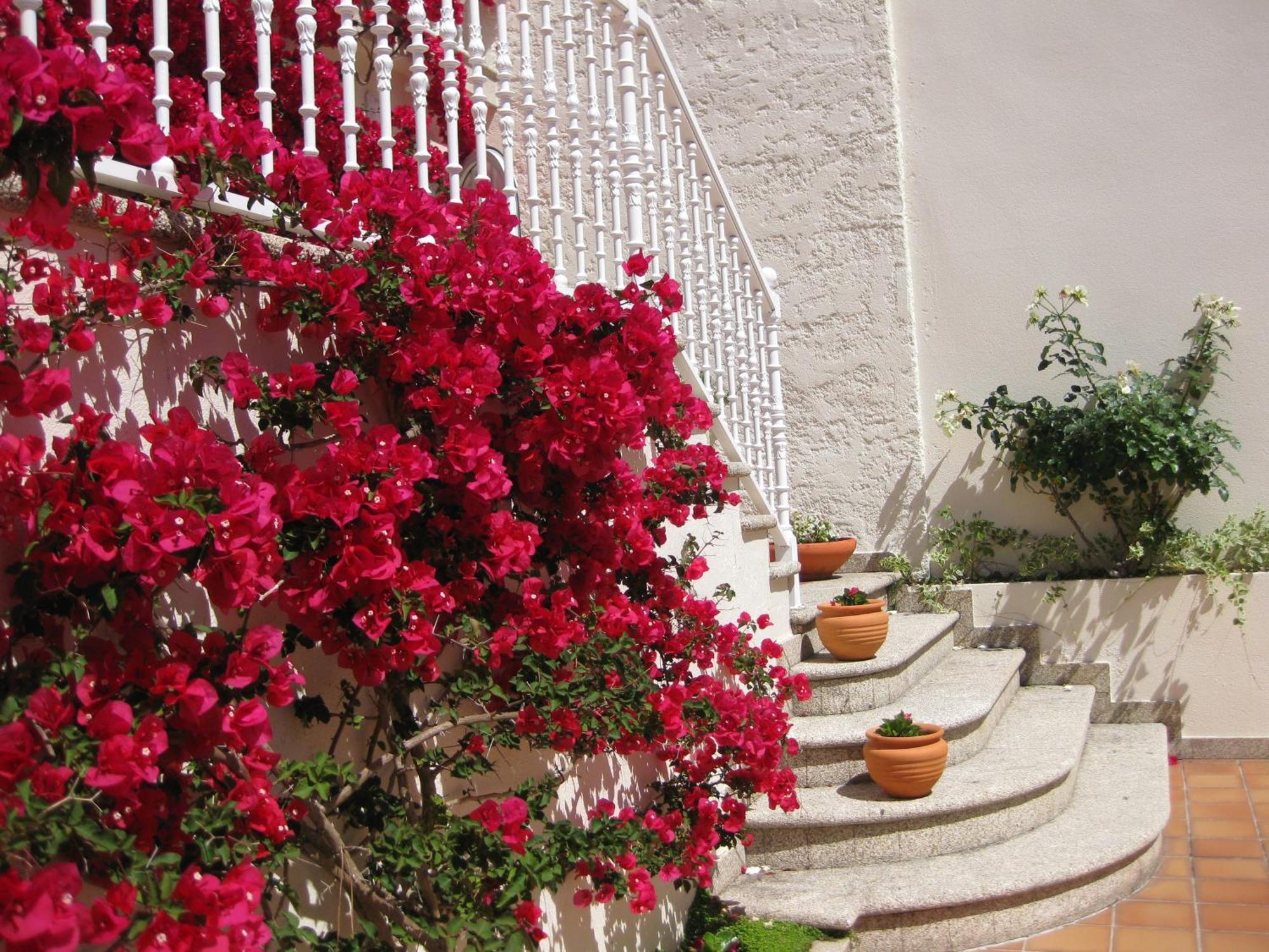 Apartamentos Maritimo Suites-Solo Adultos O Grove Esterno foto